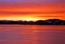 Historic Ghost Town and Tahoe Tour